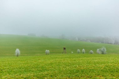 On the road in beautiful southern Thuringia at the gates of the Rennsteig - Thuringia - Germany