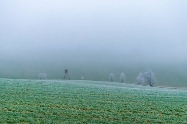 On the road in beautiful southern Thuringia at the gates of the Rennsteig - Thuringia - Germany