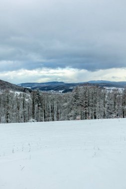 Thüringen Ormanı 'nın tepelerindeki güzel kış manzarası Floh-Seligenthal - Thüringen - Almanya