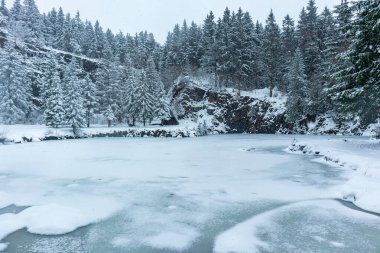 Thüringen Ormanı 'nın tepelerindeki güzel kış manzarası Floh-Seligenthal - Thüringen - Almanya