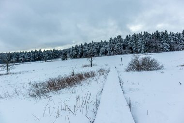 Beautiful winter landscape on the heights of the Thuringian Forest near Floh-Seligenthal - Thuringia - Germany clipart