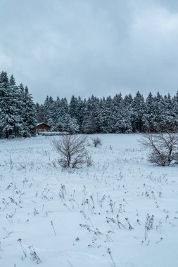 Thüringen Ormanı 'nın tepelerindeki güzel kış manzarası Floh-Seligenthal - Thüringen - Almanya