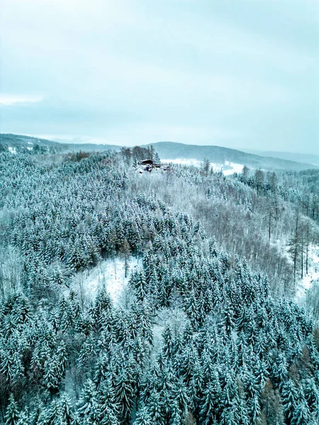 Thüringen Ormanı 'nın tepelerindeki güzel kış manzarası Floh-Seligenthal - Thüringen - Almanya