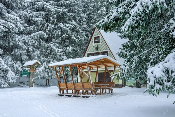 Gyönyörű Téli Táj Türingiai Erdő Magaslatain Floh Seligenthal Közelében Türingia — Stock Fotó