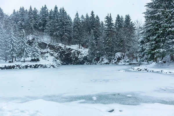 Floh Seligenthal近くのテューリンゲンの森の高さの美しい冬の風景 テューリンゲン自由州 ドイツ — ストック写真