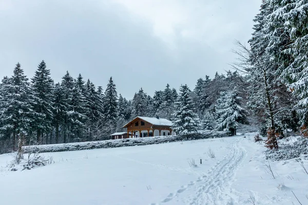 Krásná Zimní Krajina Výšinách Durynského Lesa Floh Seligenthal Durynsko Německo — Stock fotografie