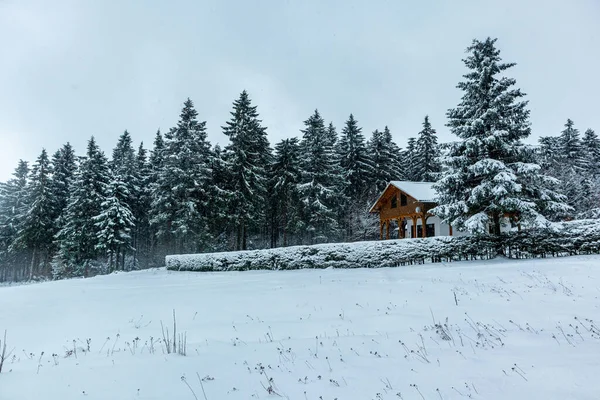 Piękny Zimowy Krajobraz Wysokościach Lasu Turyngii Koło Floh Seligenthal Turyngia — Zdjęcie stockowe