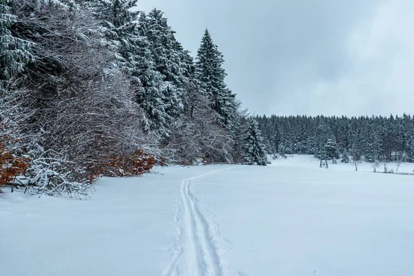 Schöne Winterlandschaft Auf Den Höhen Des Thüringer Waldes Bei Floh — Stockfoto