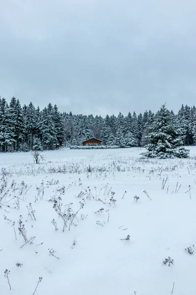 Vacker Vinter Landskap Höjderna Thüringen Skogen Nära Floh Seligenthal Thüringen — Stockfoto