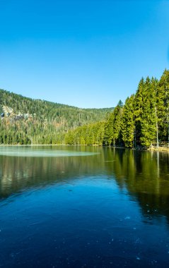 Groer Arbersee 'den Groer Arber Zirvesi' ne kadar Bavyera Ormanı 'nda bahar yürüyüşü - Almanya