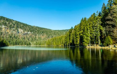Groer Arbersee 'den Groer Arber Zirvesi' ne kadar Bavyera Ormanı 'nda bahar yürüyüşü - Almanya
