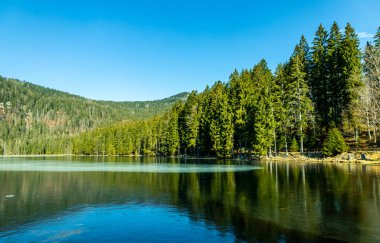 Groer Arbersee 'den Groer Arber Zirvesi' ne kadar Bavyera Ormanı 'nda bahar yürüyüşü - Almanya