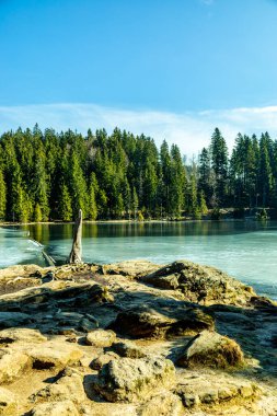 Groer Arbersee 'den Groer Arber Zirvesi' ne kadar Bavyera Ormanı 'nda bahar yürüyüşü - Almanya