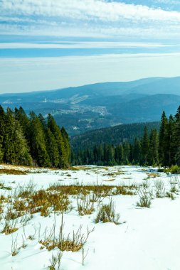 Groer Arbersee 'den Groer Arber Zirvesi' ne kadar Bavyera Ormanı 'nda bahar yürüyüşü - Almanya