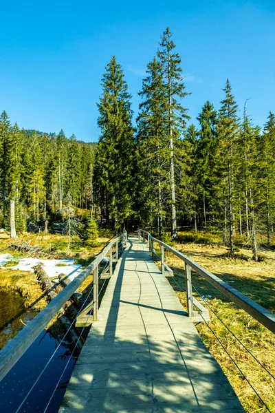 Frühjahrswanderung Bayerischen Wald Vom Groer Arbersee Zum Groer Arber Gipfel — Stockfoto