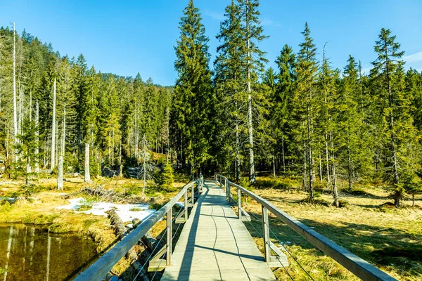 Spring Hike Bavarian Forest Groer Arbersee Groer Arber Summit Bavaria — Stock Photo, Image