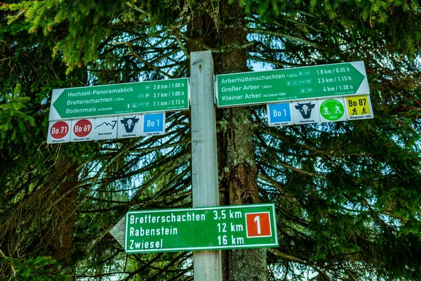 从Groer Arbersee到德国Bavaria Groer Arber山顶的巴伐利亚森林春季远足 — 图库照片