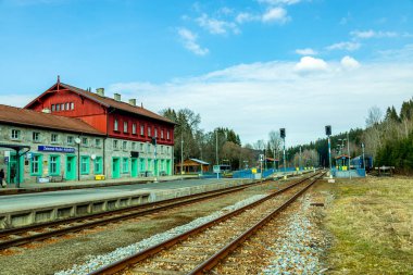Bayrisch Eisenstein yakınlarındaki Bavyera Ormanı 'nda bahar yürüyüşü Çek sınırına - Bavyera - Almanya