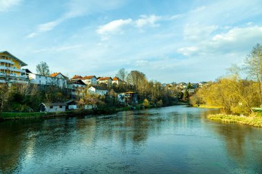 Bavyera Ormanı 'nda bahar yürüyüşü Zwiesel - Bavyera - Almanya