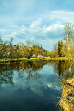 Bavyera Ormanı 'nda bahar yürüyüşü Zwiesel - Bavyera - Almanya