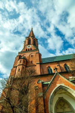 Bavyera Ormanı 'nda bahar yürüyüşü Zwiesel - Bavyera - Almanya