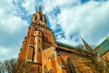 Bavyera Ormanı 'nda bahar yürüyüşü Zwiesel - Bavyera - Almanya