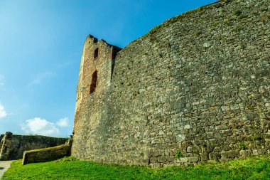 Donaustauf - Bavyera yakınlarındaki Tuna Deltası 'nda bahar yürüyüşü Almanya