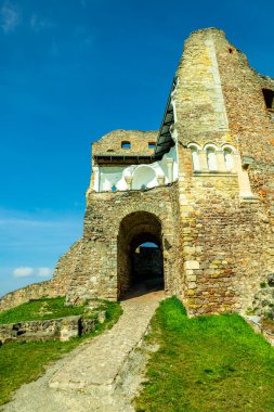 Donaustauf - Bavyera yakınlarındaki Tuna Deltası 'nda bahar yürüyüşü Almanya