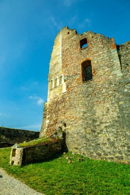 Donaustauf - Bavyera yakınlarındaki Tuna Deltası 'nda bahar yürüyüşü Almanya