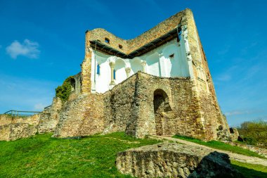 Donaustauf - Bavyera yakınlarındaki Tuna Deltası 'nda bahar yürüyüşü Almanya