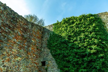 Donaustauf - Bavyera yakınlarındaki Tuna Deltası 'nda bahar yürüyüşü Almanya