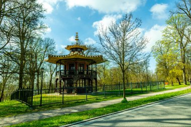 Donaustauf - Bavyera yakınlarındaki Tuna Deltası 'nda bahar yürüyüşü Almanya