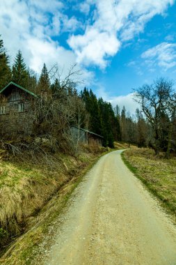 Bavyera Ormanı 'nda bahar yürüyüşü Çek Cumhuriyeti sınırında Zwieselter Yumruğu - Bavyera - Almanya