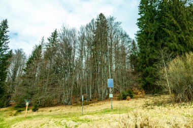 Bavyera Ormanı 'nda bahar yürüyüşü Çek Cumhuriyeti sınırında Zwieselter Yumruğu - Bavyera - Almanya