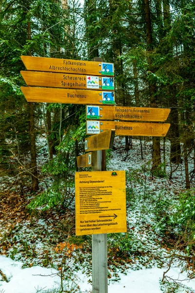 Wiosenna Wędrówka Lesie Bawarskim Pięści Zwieseltera Granicy Czechami Bawaria Niemcy — Zdjęcie stockowe