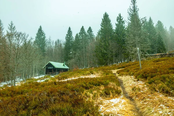 バイエルンの森での春のハイキング ツヴァイセルターへチェコ共和国との国境の拳 バイエルン ドイツ — ストック写真