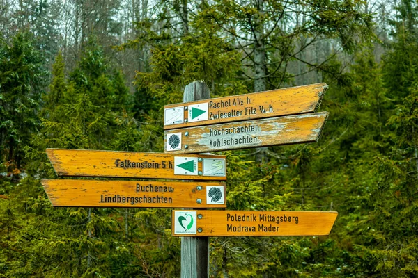 与捷克共和国交界的巴伐利亚 德国边境的巴伐利亚森林中的春天徒步旅行到Zwieselter Fist — 图库照片