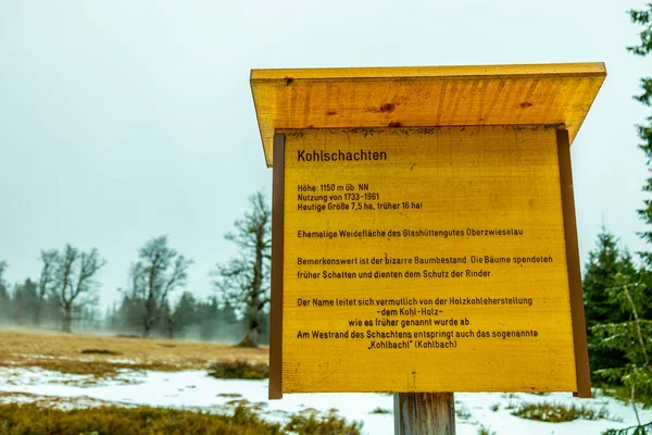 Tavaszi Kirándulás Bajor Erdőben Zwieselter Ököl Határ Cseh Köztársaság Bajorország — Stock Fotó