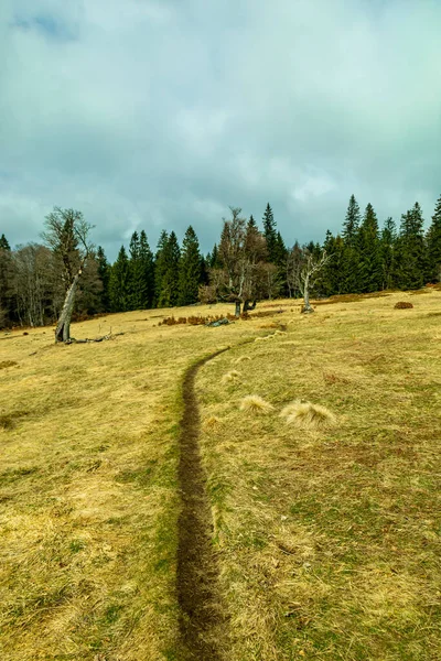 Весняна Екскурсія Баварському Лісі Жвізельтера Кордоні Чехією Баварією Німеччиною — стокове фото