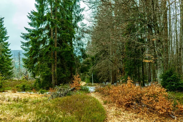 Frühjahrswanderung Bayerischen Wald Zur Zwieselter Faust Der Grenze Tschechien Bayern — Stockfoto