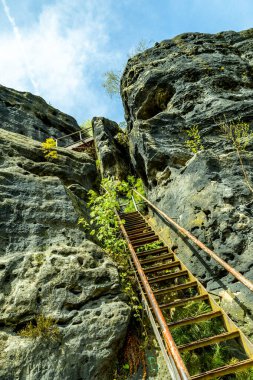 Bad Schandau yakınlarındaki Schrammsteinen 'e kısa bir akşam yürüyüşü - Sakson İsviçre - Almanya