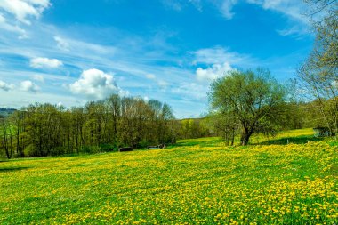 Wasserkuppe - Hesse - Almanya çevresindeki güzel Rhn dağlarında bahar yürüyüşü
