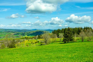 Wasserkuppe - Hesse - Almanya çevresindeki güzel Rhn dağlarında bahar yürüyüşü