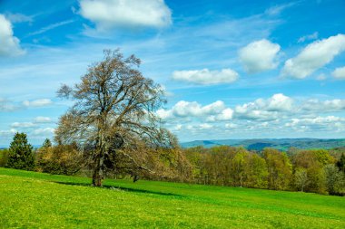 Wasserkuppe - Hesse - Almanya çevresindeki güzel Rhn dağlarında bahar yürüyüşü