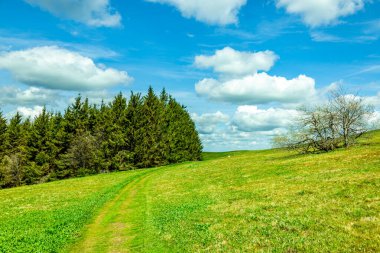 Wasserkuppe - Hesse - Almanya çevresindeki güzel Rhn dağlarında bahar yürüyüşü