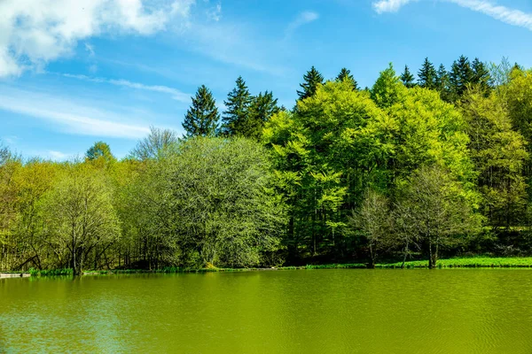 Wiosenna Wycieczka Pięknych Górach Rhn Wokół Wasserkuppe Hesja Niemcy — Zdjęcie stockowe