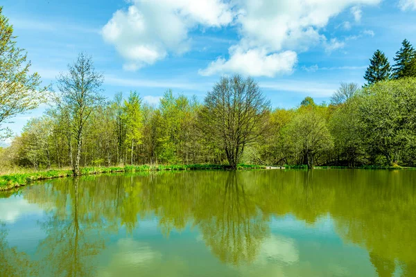 Wiosenna Wycieczka Pięknych Górach Rhn Wokół Wasserkuppe Hesja Niemcy — Zdjęcie stockowe