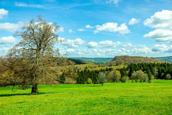 穿越德国瓦塞尔库普 黑森市周围美丽的Rhn山脉的春天之行 — 图库照片