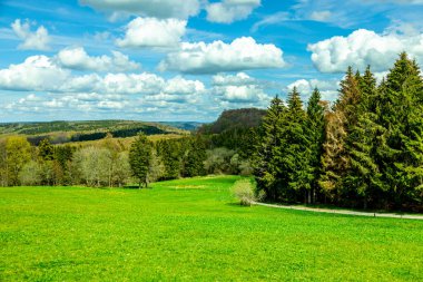 Wasserkuppe - Hesse - Almanya çevresindeki güzel Rhn dağlarında bahar yürüyüşü