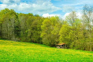 Wasserkuppe - Hesse - Almanya çevresindeki güzel Rhn dağlarında bahar yürüyüşü